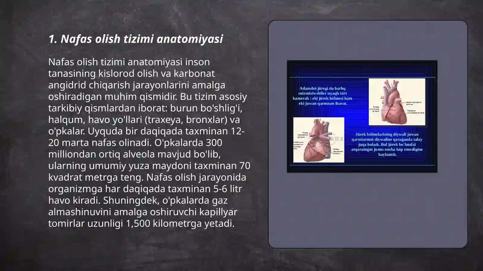 Nafas tizimi kasalliklari nafas tizimi kasalliklari bilan kasallangan bemorlarni parvarishi va ularni nazororati 3