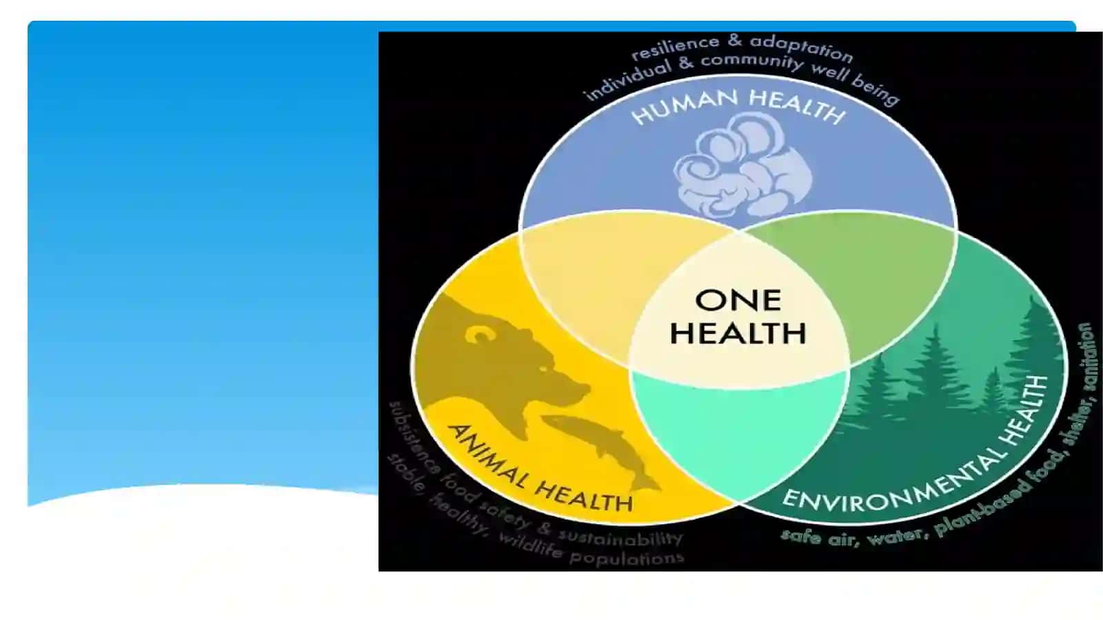 The concept of human health: individual and public health 3