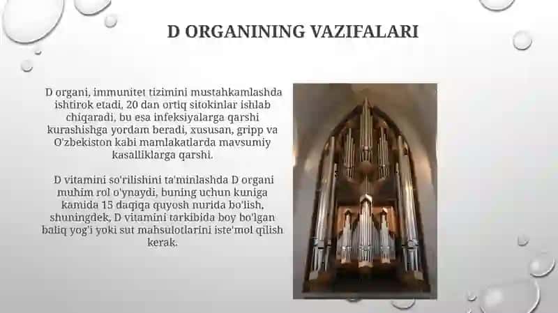 D Harfini Örganamiz 3