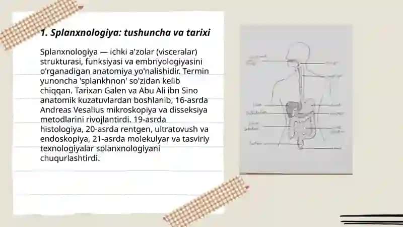 Splanxnologiya asoslari 3