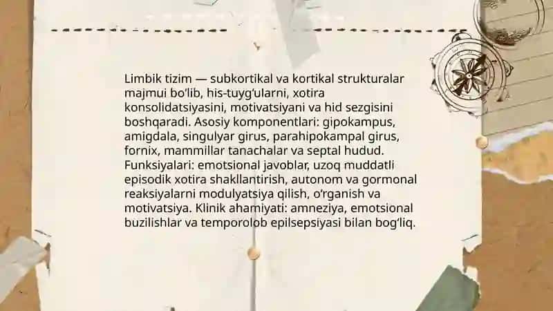 Limbik tizim 3