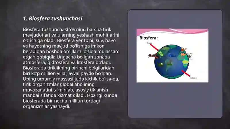 Biosfera haqida tushuncha. Vernadskiy ta'limoti 3