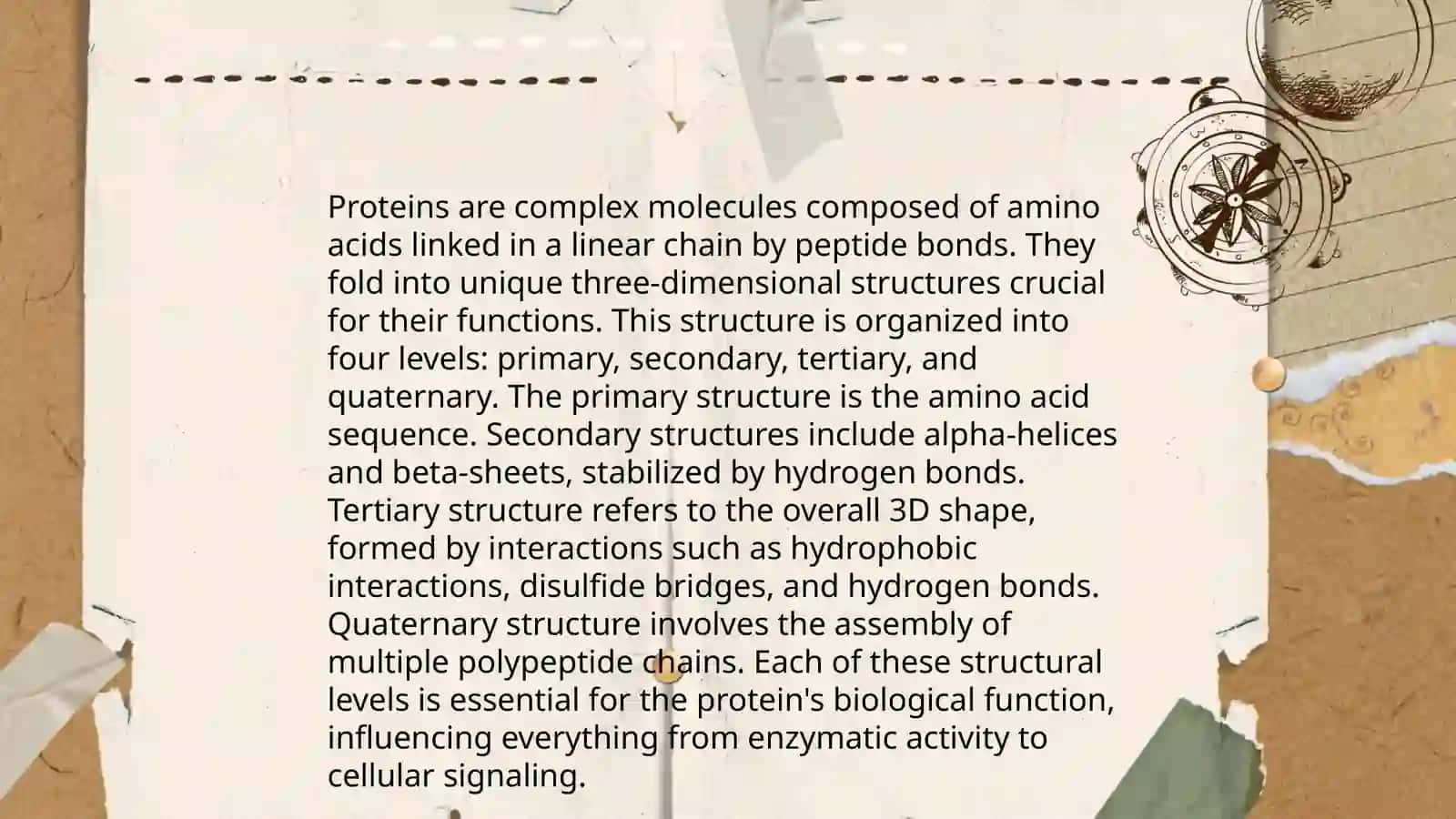 Secrets of proteins 3