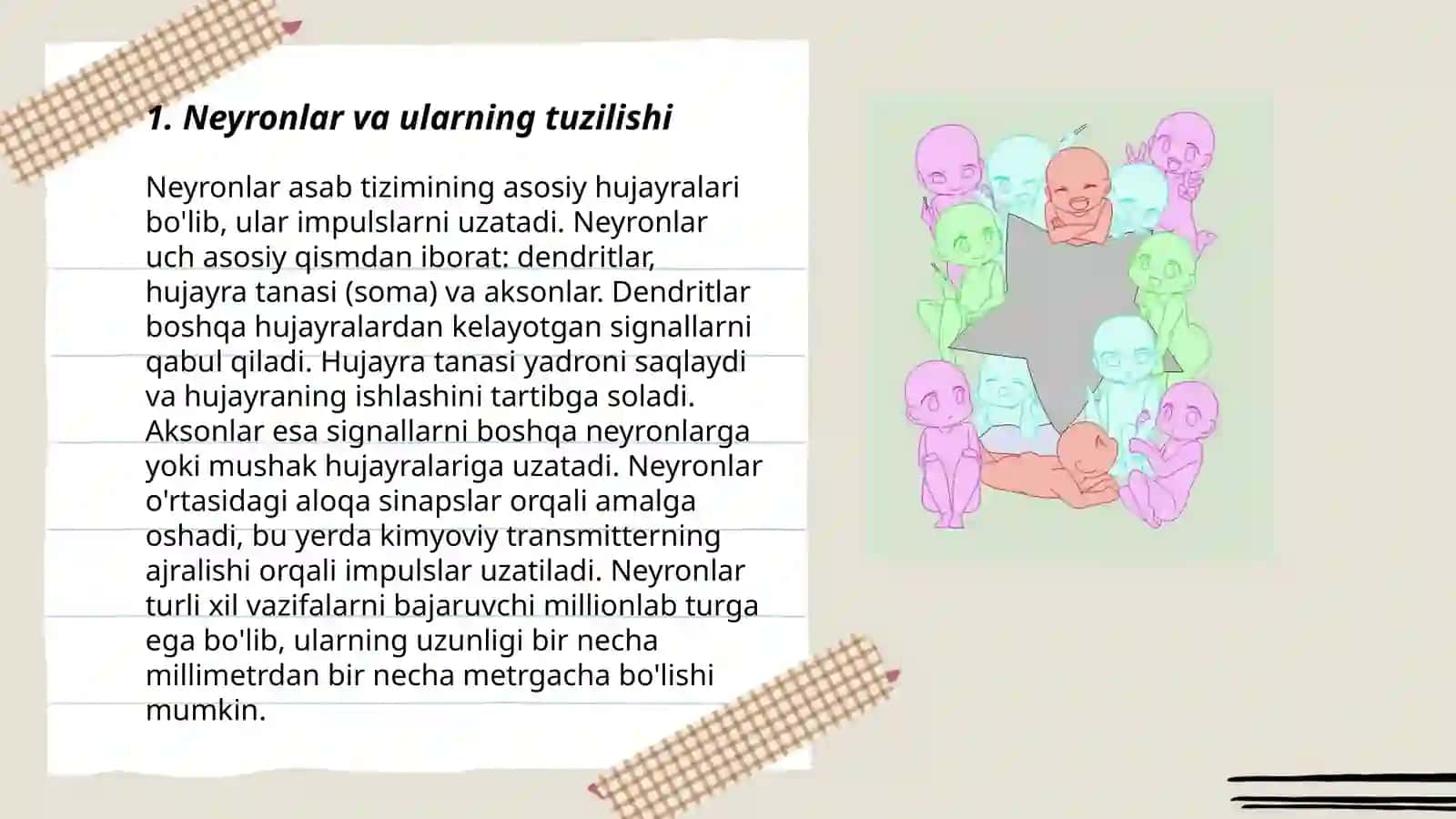 Nutqning neyrofiziologik asoslari 3
