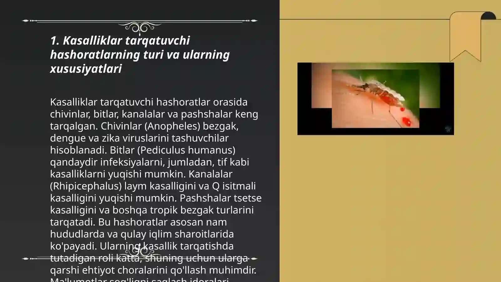 Kasalliklar tarqatuvchi hashoratlar 3