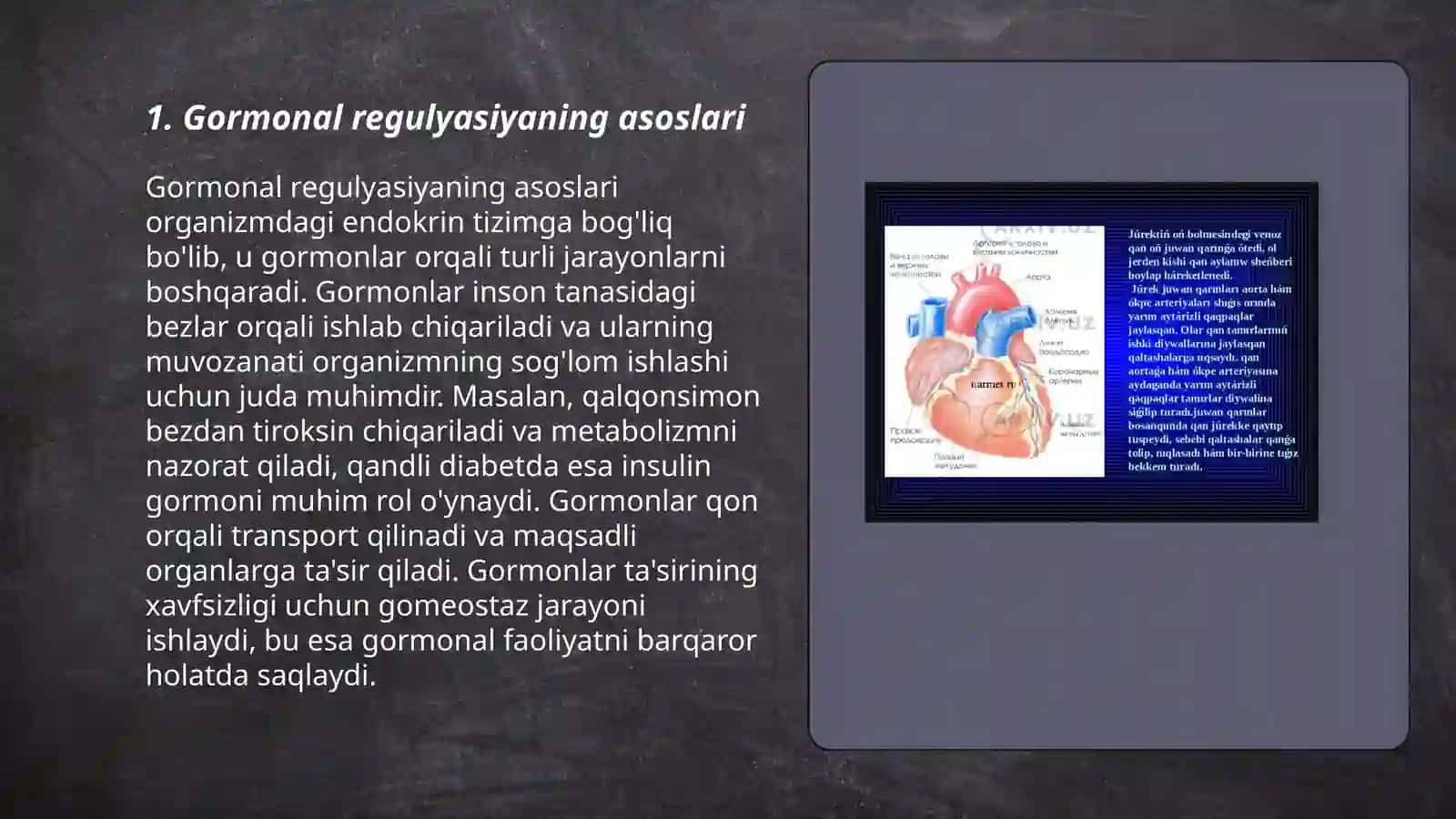 Organezmning, immun endokren boshqarilishi 3