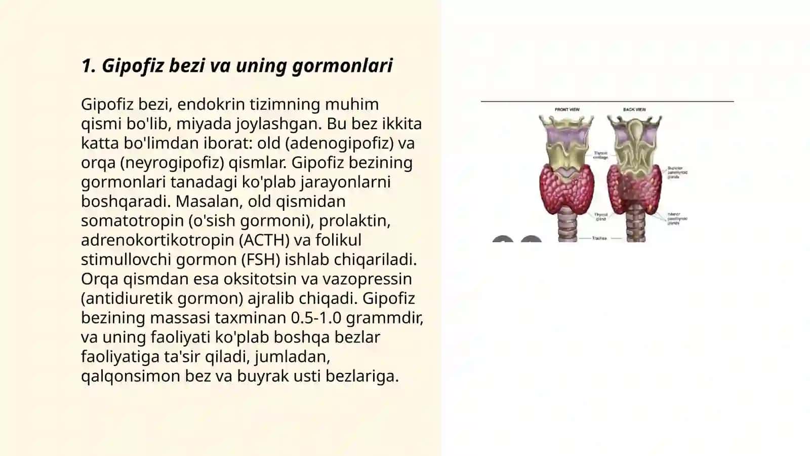 Ichki sekretsiya bezlari va ularning garmonlari 3