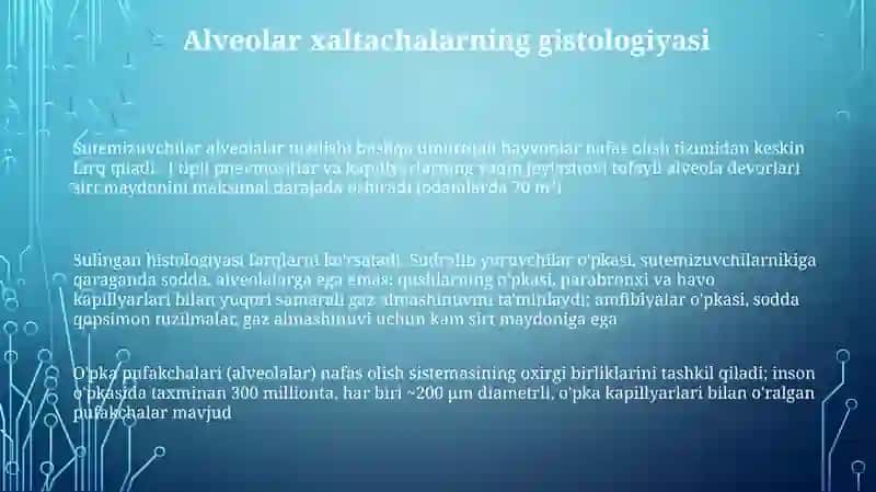 Nafas olish aʼzolarining qiyosiy gistalogik tavsifi 3