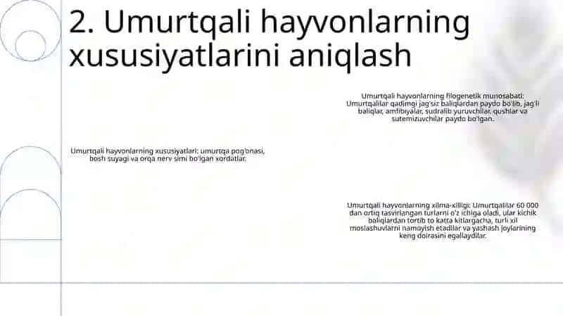 Umurtqali Hayvonlar Dunyosining Filogenetik Bog‘Lanishi 3