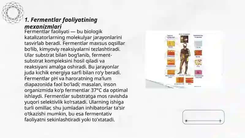 Fermentlarning faolligini boshqarish 3