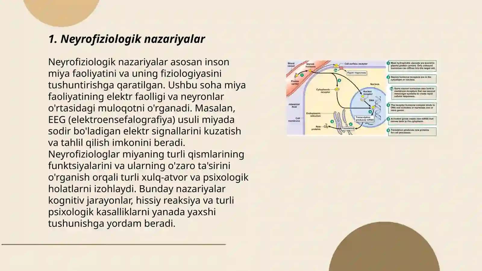 Nutqning neyrofiziologik mexanizmlari 3