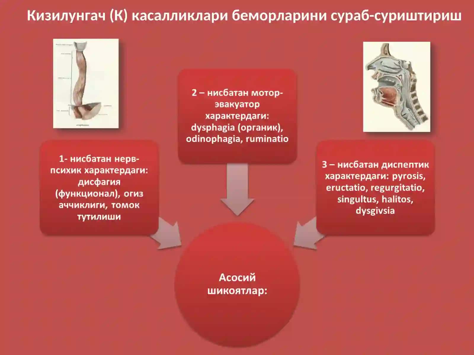 Меъда-ичак тракти касалликларини текшириш: сураб-суриштириш,куздан кечириш, пайпаслаш. Лаборатор ва инструментал текширишлар тугрисида тушунча. Асосий синдромлар. Уткир ва сурункали гастритлар симптоматологияси. 3