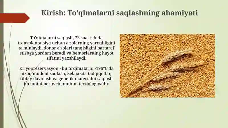 Donni saqlashda kechadigan fiziologik jarayonlar 3