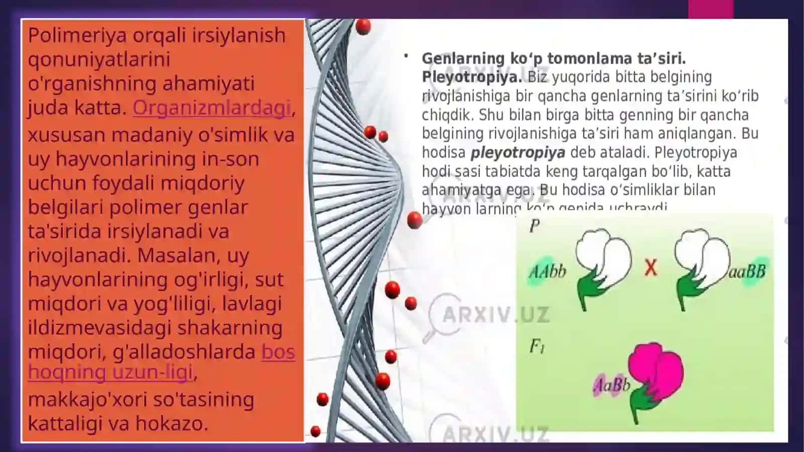 Genlarning polimer ta’sirining seleksiyada ishlatilishi 3