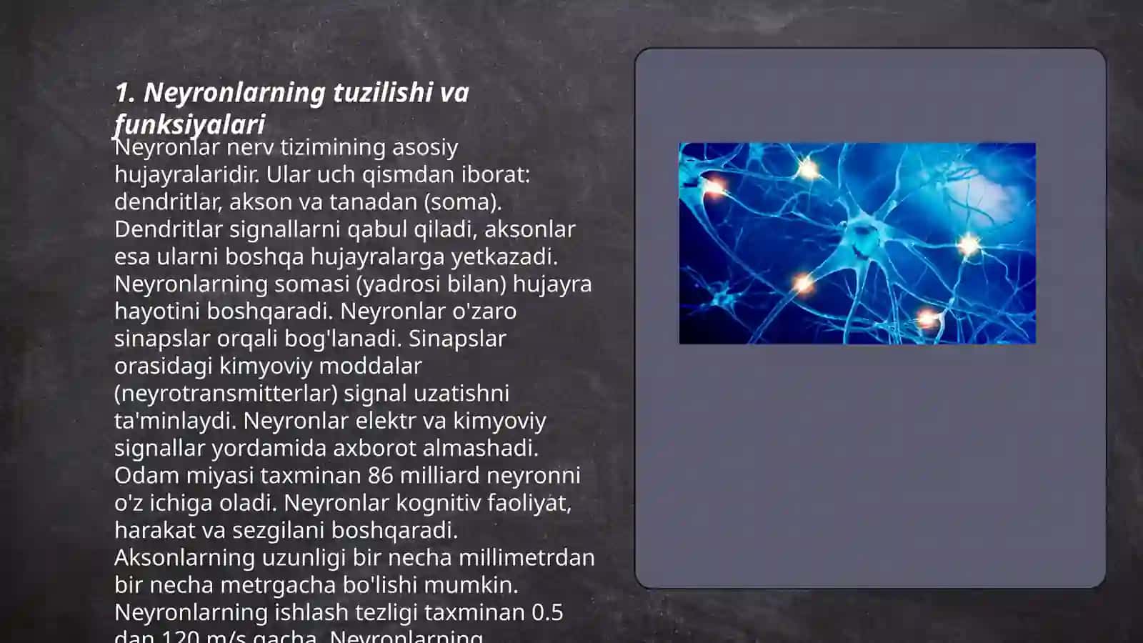 Neyronlarning tuzilishi va funksiyalari 3