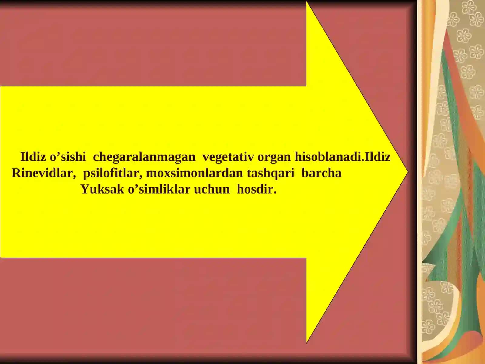 Ildiz va uning morfologiyasi 3
