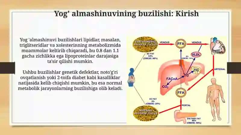 Yog‘lar almashinuvini buzilishi.Semizlik 3