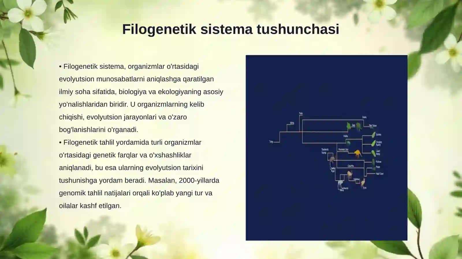 Zamonaviy filogenetik sistema 3
