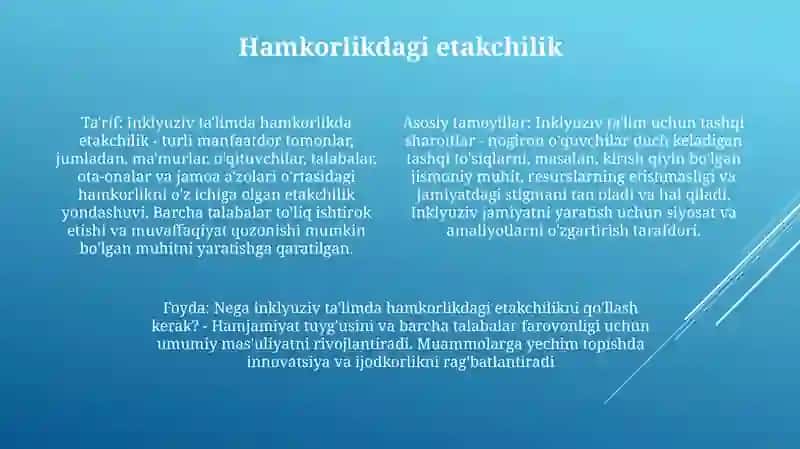 Samarali Inklyuziya Uchun Yordam 3