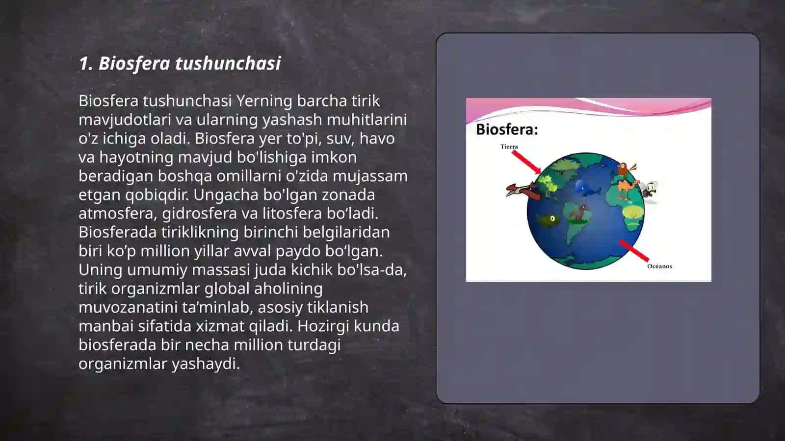 Biosfera haqida tushuncha. Vernadskiy ta'limoti 3