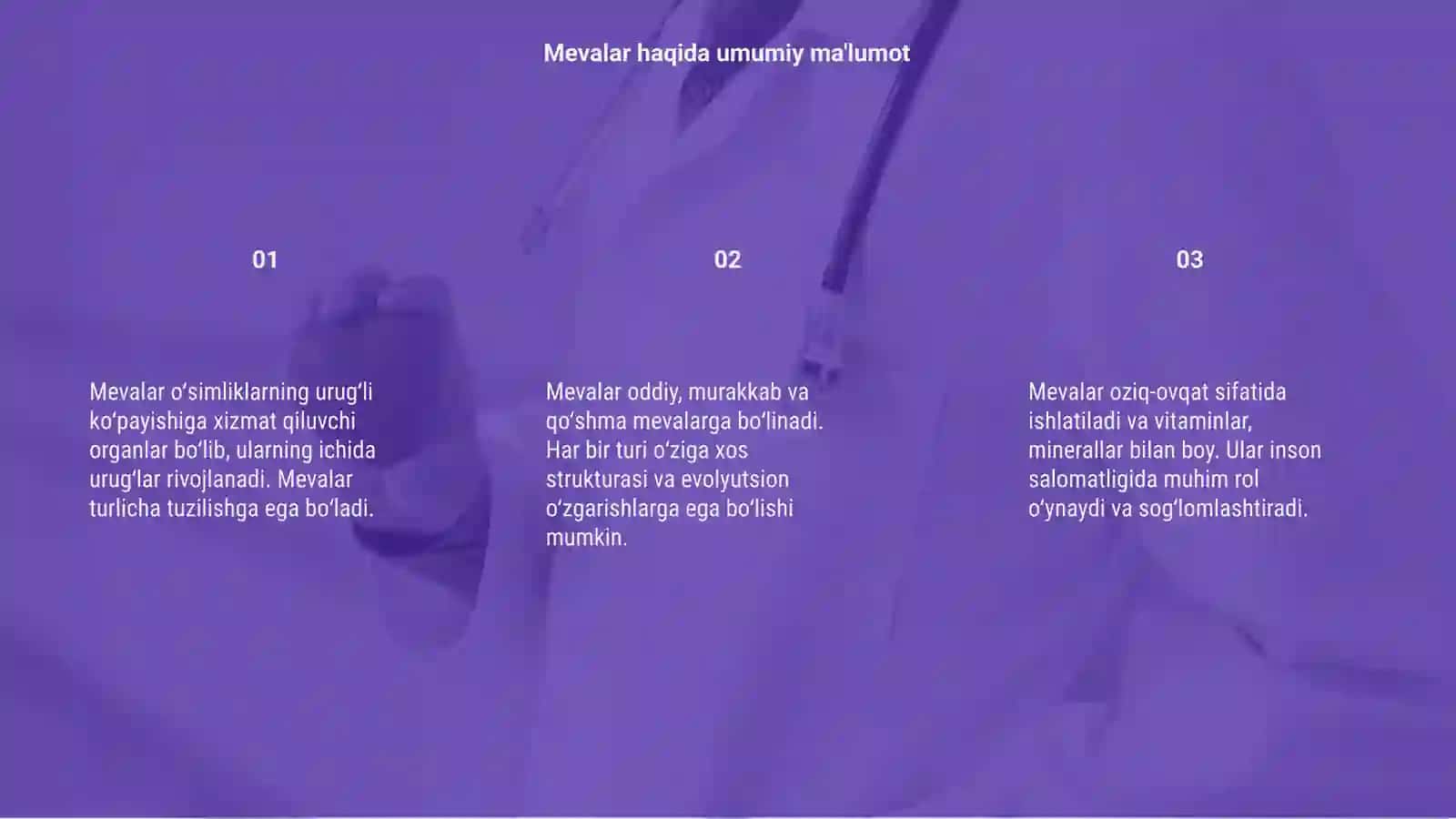 Mevalarning tuzilishi va tiplari 3