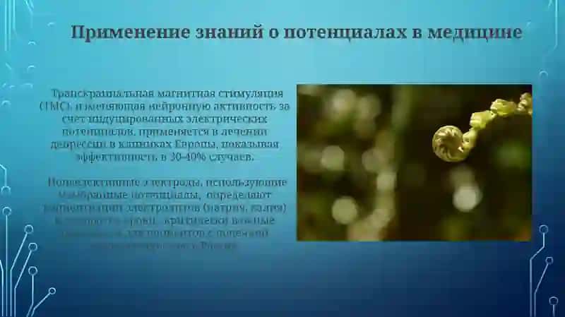 Электрохимические потенциалы: основы 3