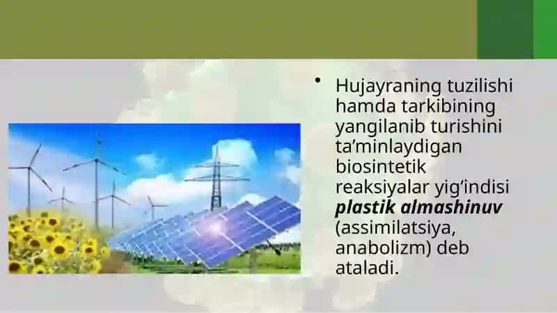 Asosiy zahiramoddalarning moddalar almashinuvi 3