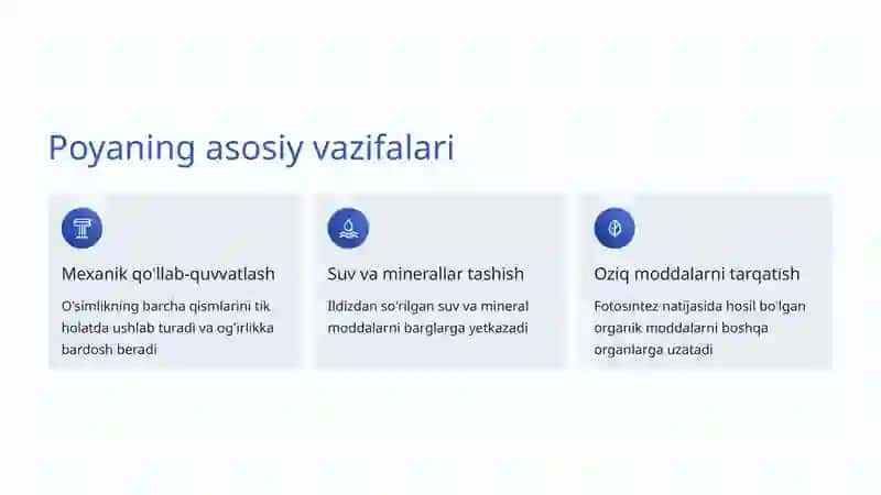 Poya va Uning Turlari: O'simliklarning Asosiy Tuzilishi 3