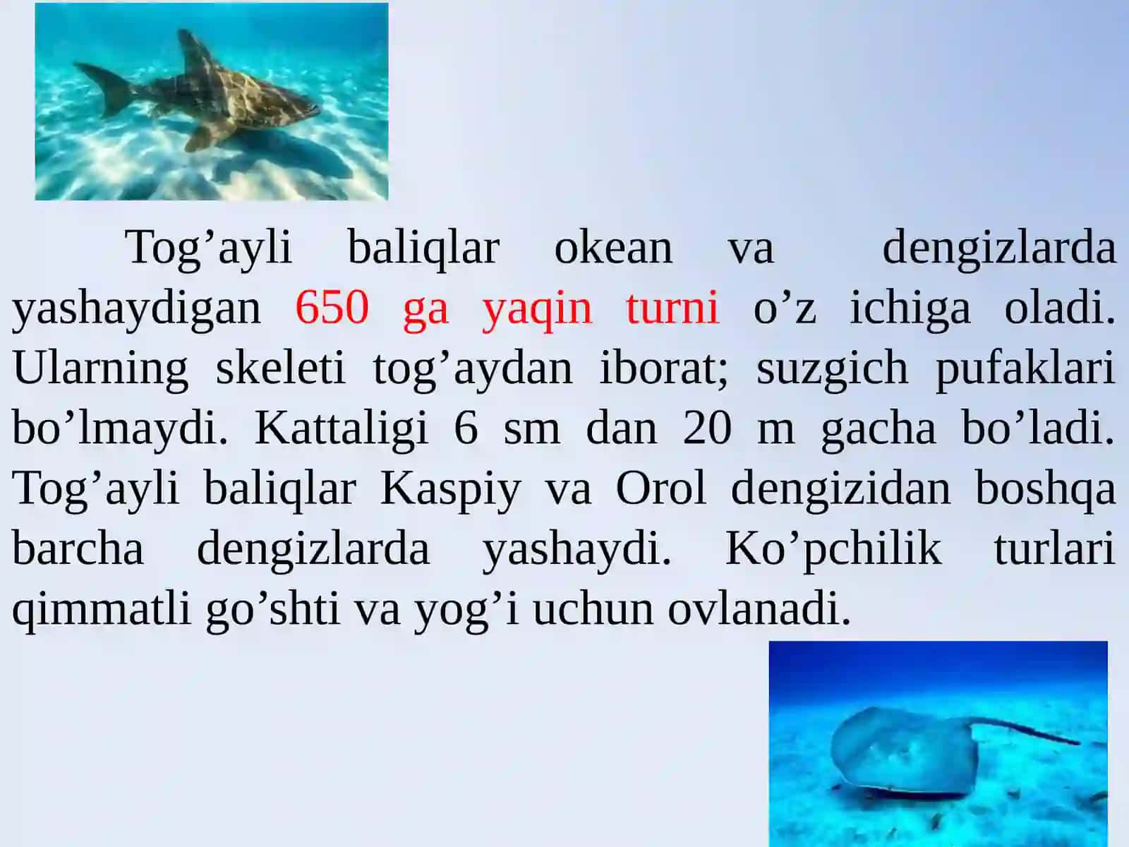 Baliqlar katta sinfi 3