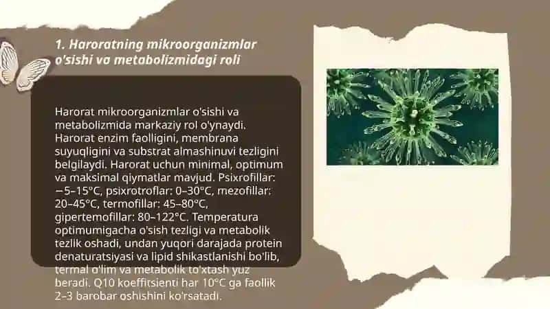 Tashqi Muhit omillarining mikroorganizmlar tasiri 3