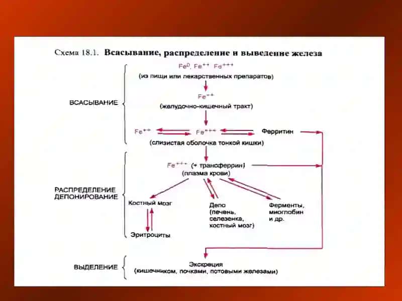 Эритропоэзга таъсир этувчи воситалар 3