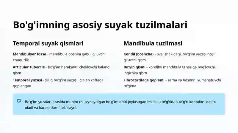 Temporomandibulyar Bo'g'im Suyaklari 3