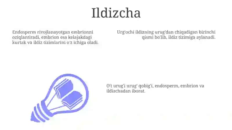 Gulli òsimliklar uruģining tuzilishi 3