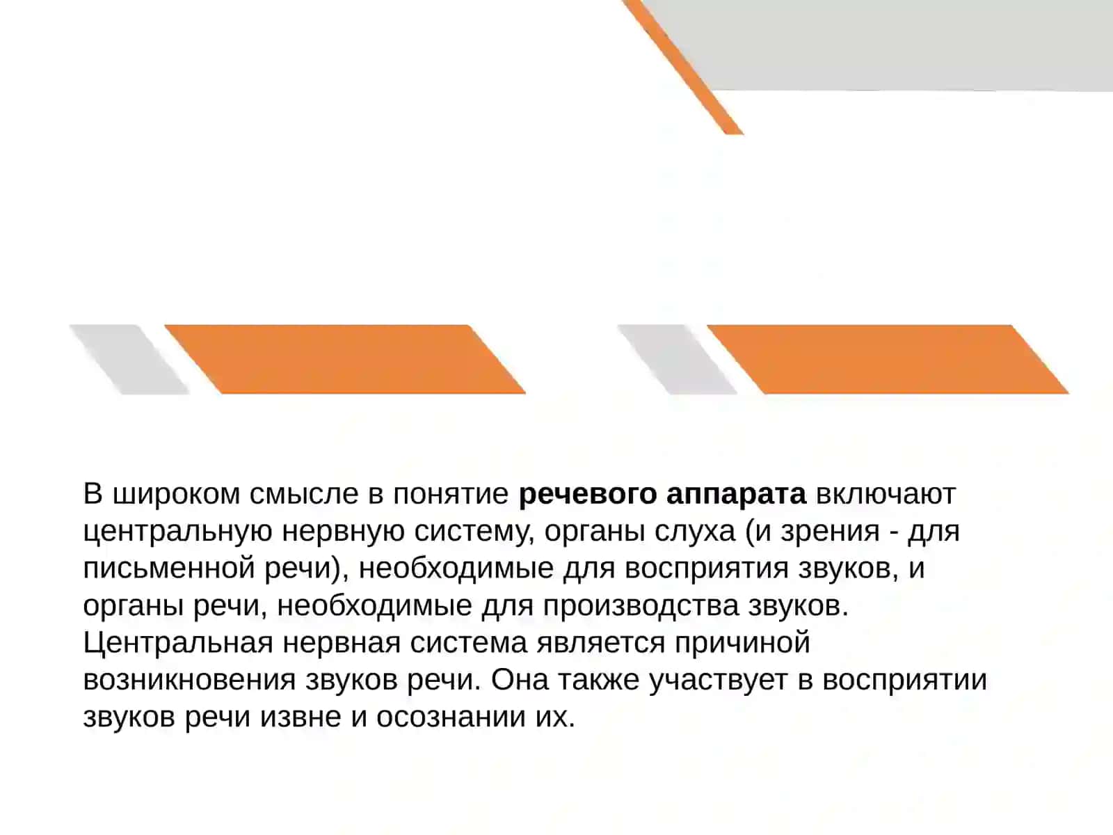устройство речевого аппарата 3