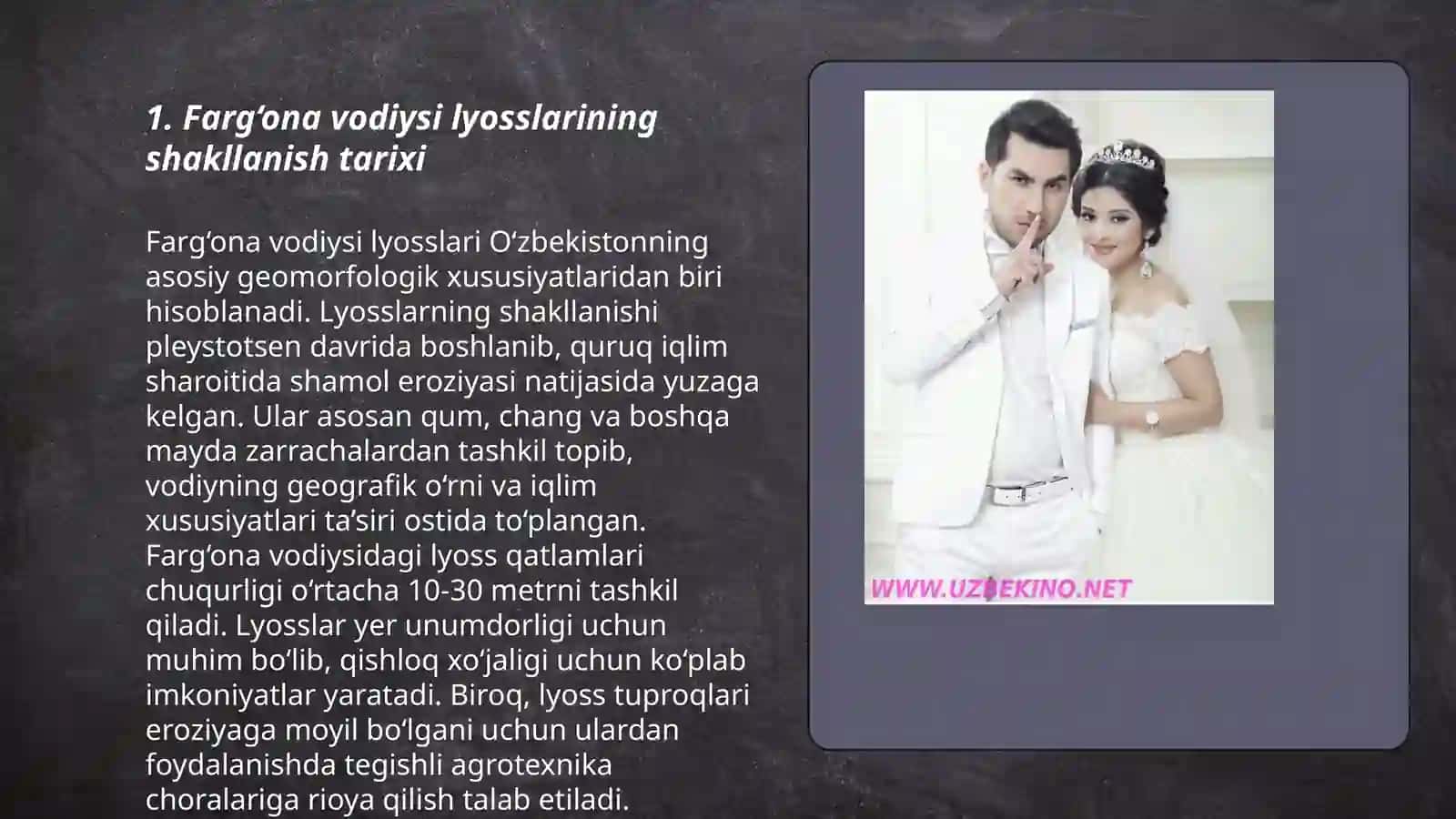Fargona vodiy lyosslariga tavsif berish 3