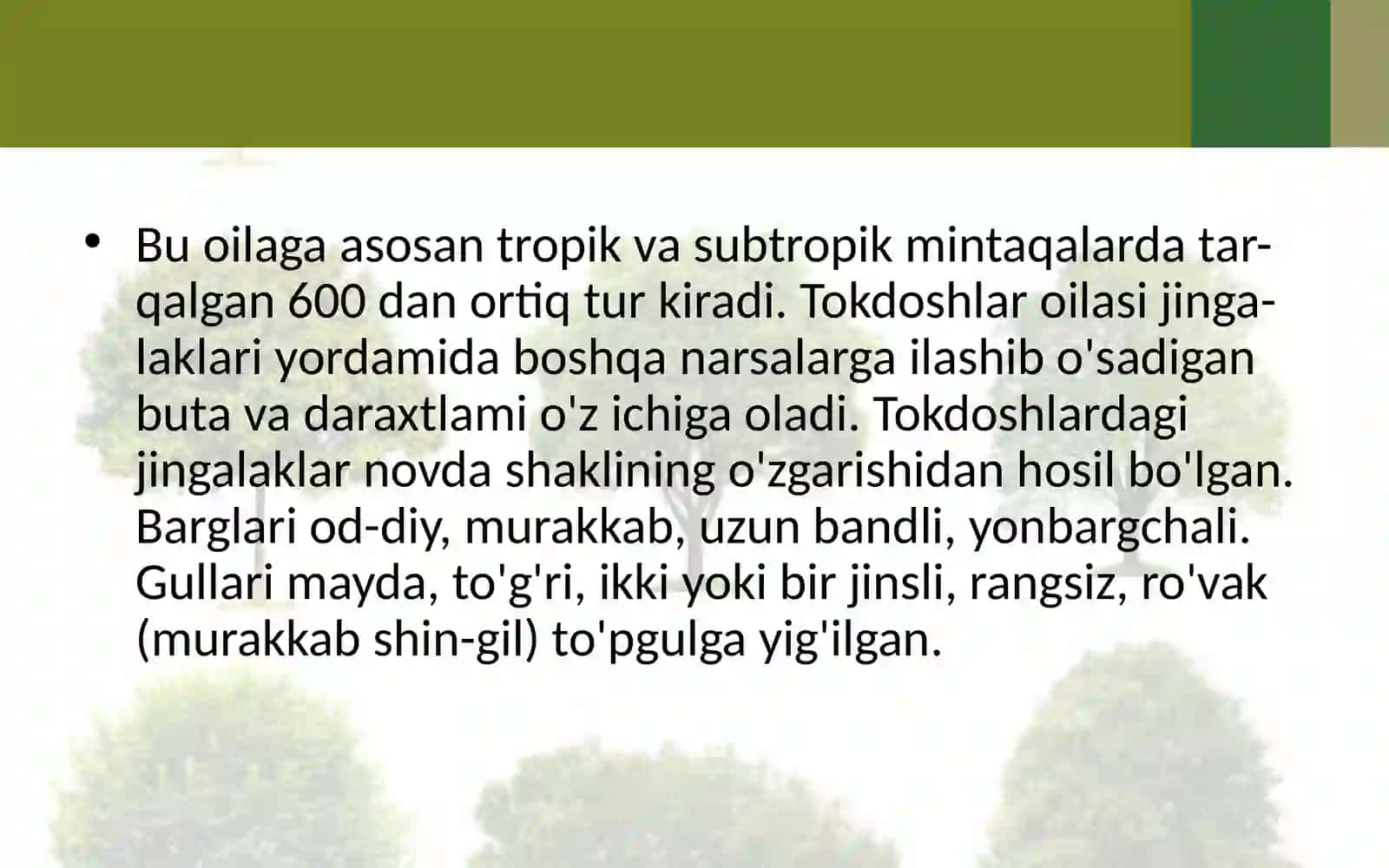 6-sinf Botanika Tokdoshlar oilasi 3
