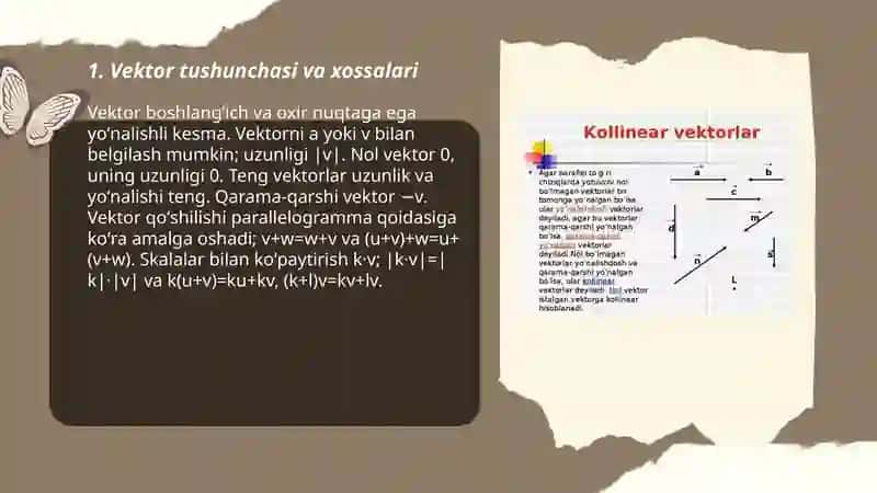 Vektorlar sistemasi 3