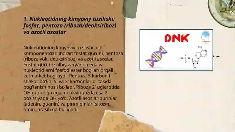 Nuklein kislotalar va nukleotidlar 3