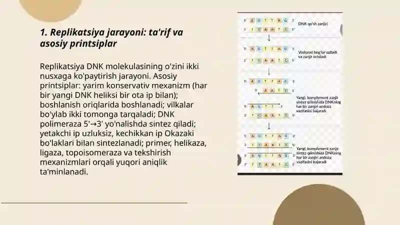Replikatsiya jarayoni 3