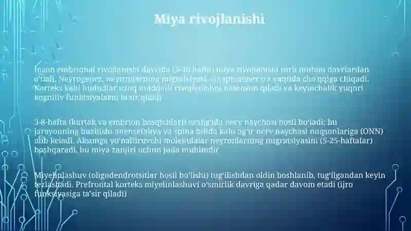 Odam embriologiyasi qaltis davrlari 3