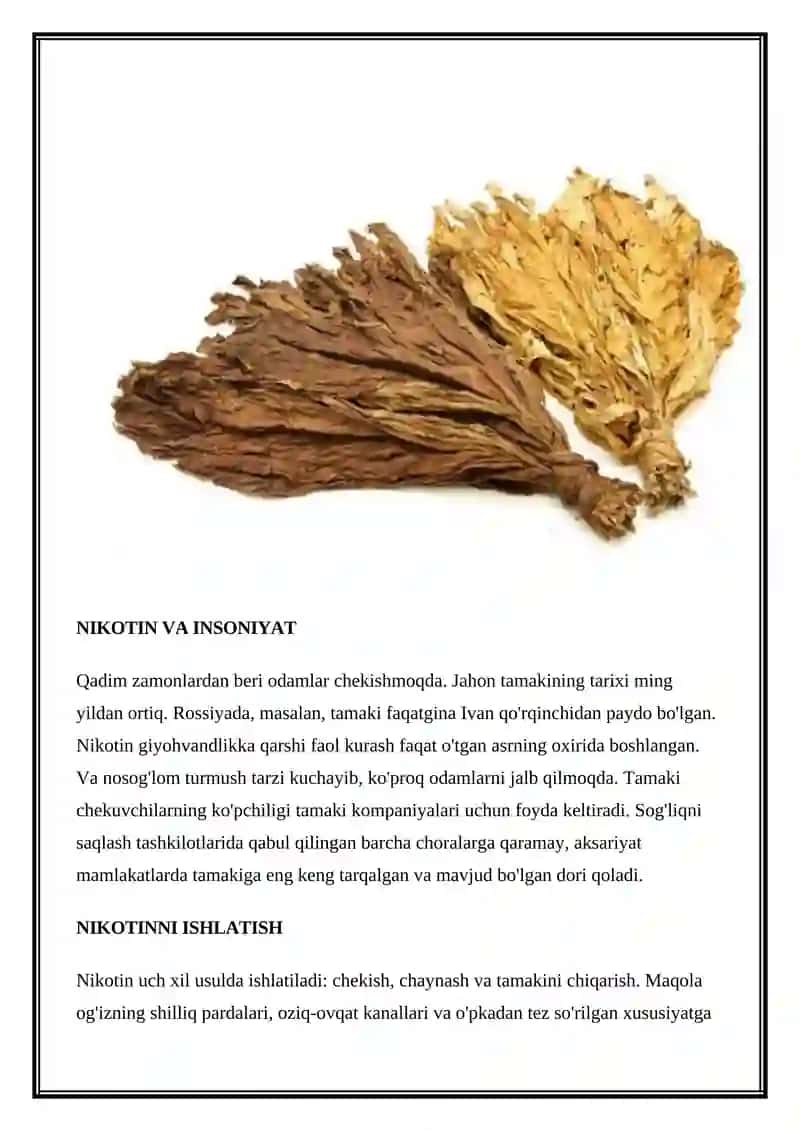 Nikotinizm va uning asoratlari 3