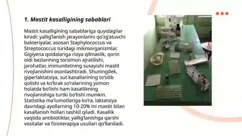 Mastit kasalligi 3