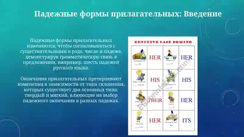 Падежная форма имени прилагательных 3