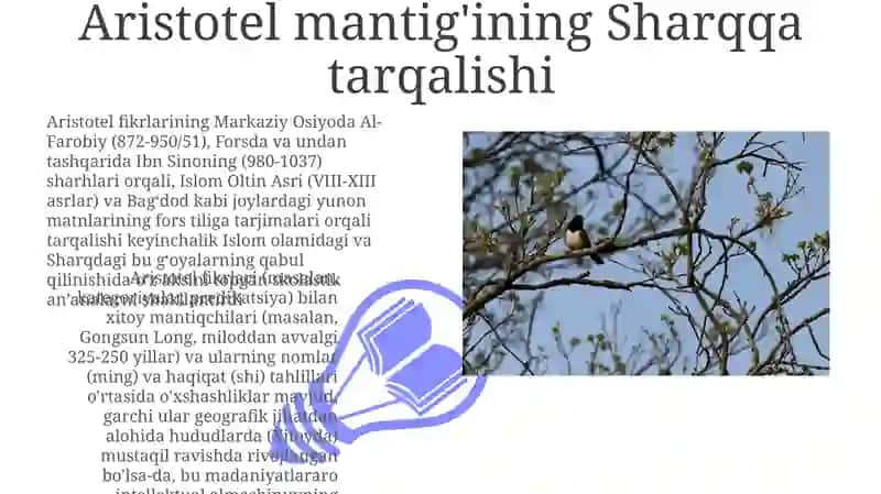 Aristotelning mantigi 3