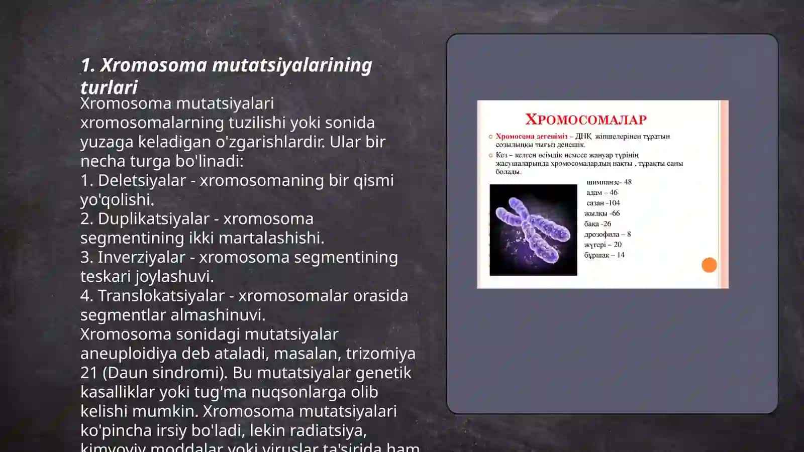 Xromasoma mutatsiyalari 3