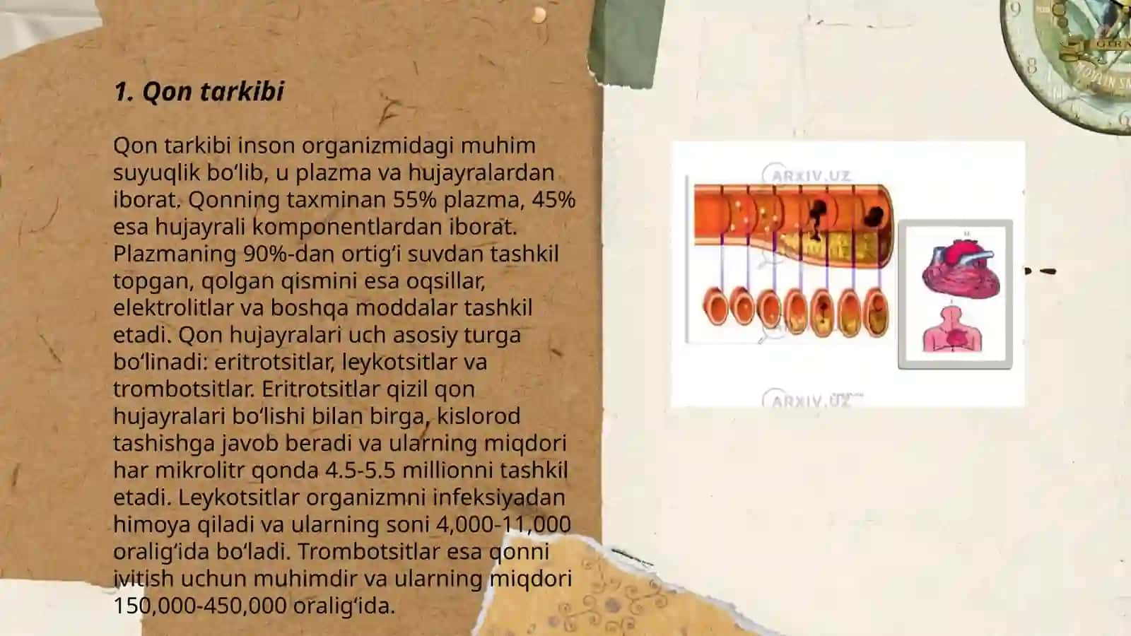 Qon, uning tarkibi va vazifalari 3