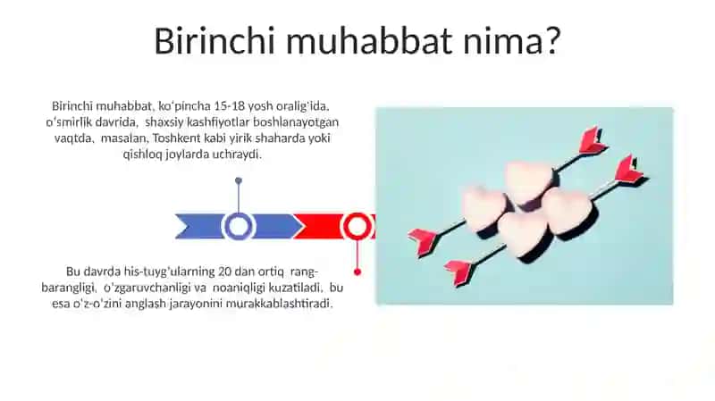 Birinchi Muhabbat 3