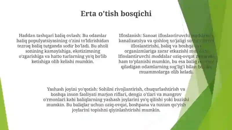 Demografik O'Tish Bosqichlari 3