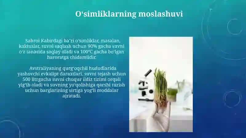 Oʻsimliklar ekologiyasi asoslari 3