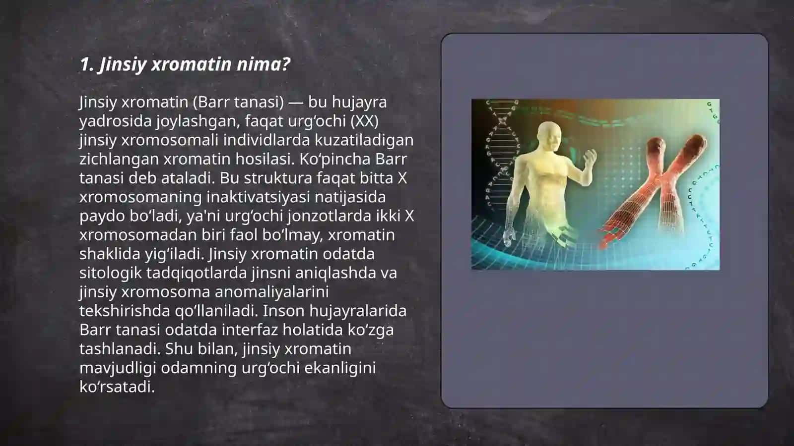 Jinsiy xromatin nima? 3